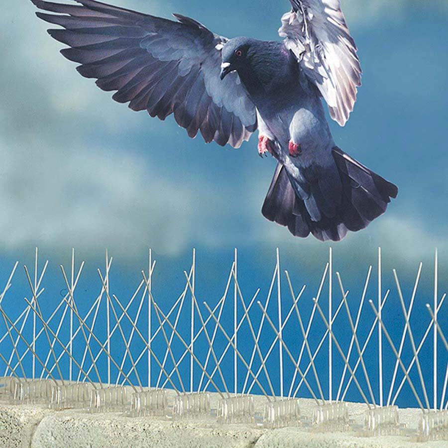 Allontanamento volatili: sistemi efficaci per tetti, capannoni e pannelli fotovoltaici